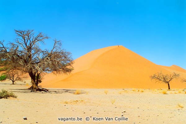 Namib Dune 45
