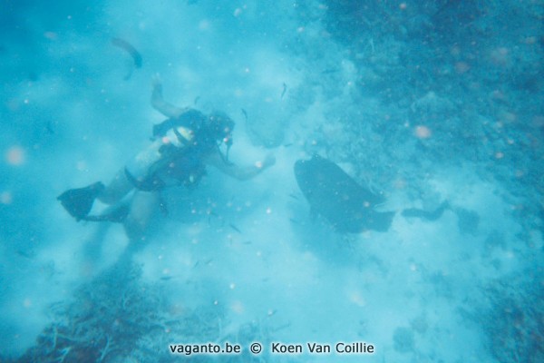 Great Barrier Reef