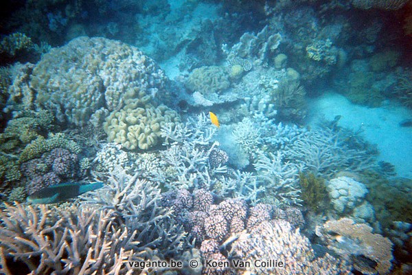 Great Barrier Reef