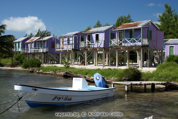 Caye Caulker