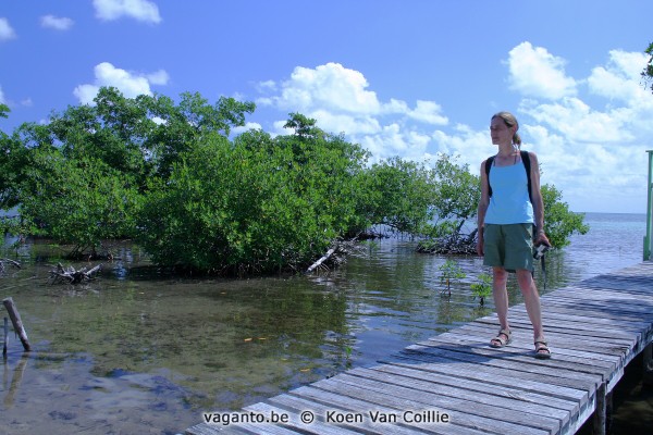 Caye Caulker