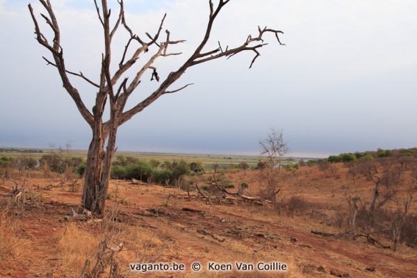 Chobe National Park