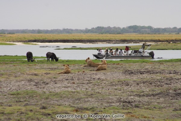 Chobe National Park