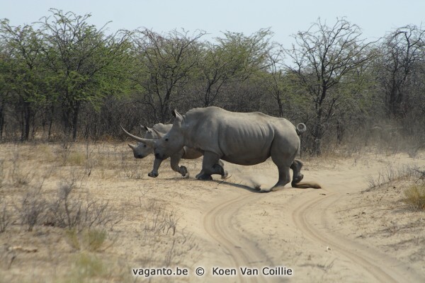 Khama Rhino Sanctuary