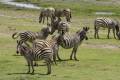 Chobe National Park