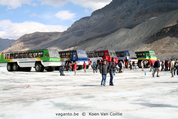 Columbia Icefield