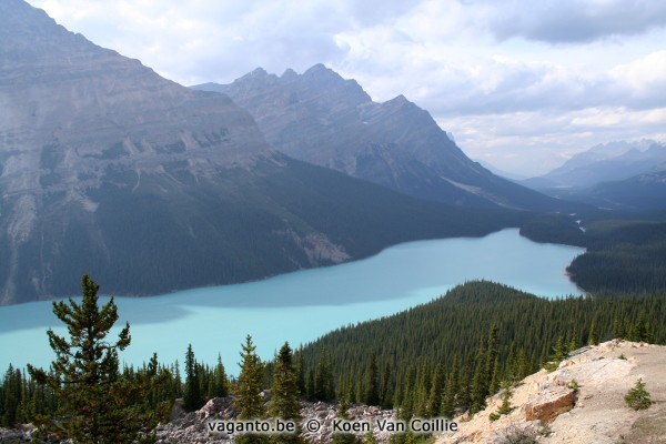 Peyto Lake