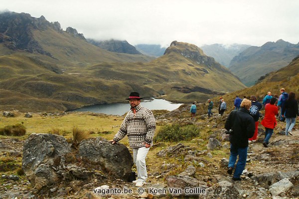 Cajas