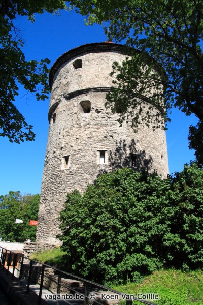 Tallinn