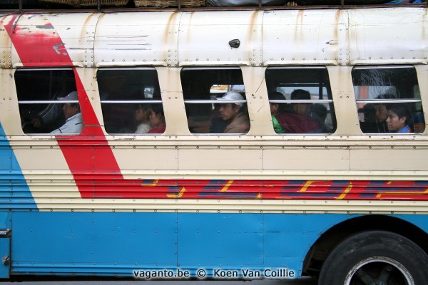 chicken bus