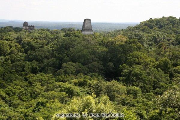 Tikal