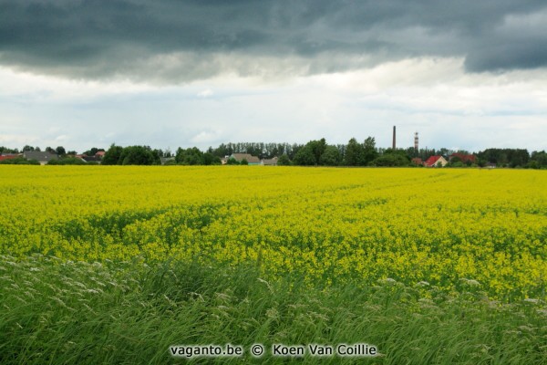 countryside