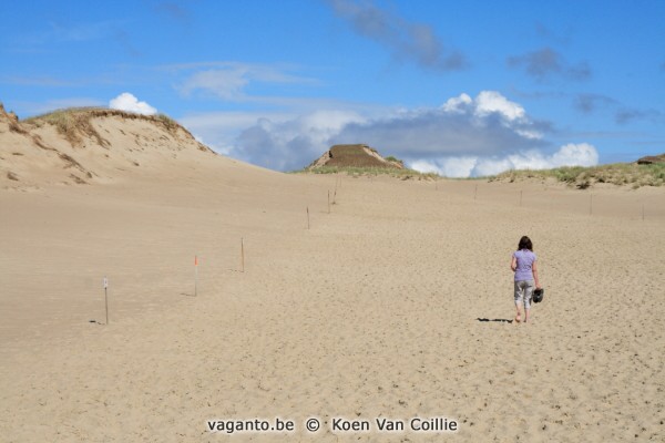 Curonian Spit