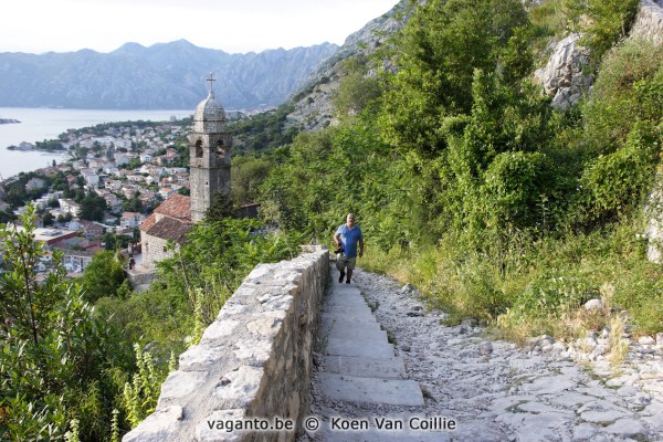 Kotor