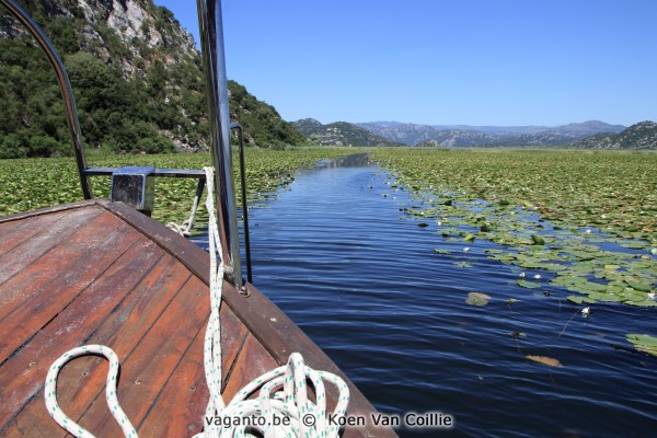 Lake Skadar