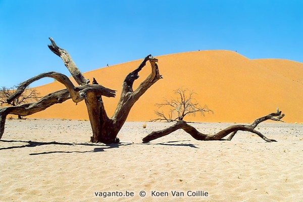 Namib Dune 45