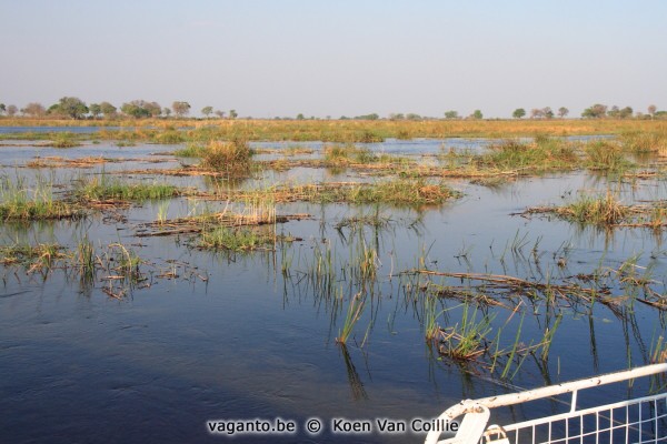 Kwando River