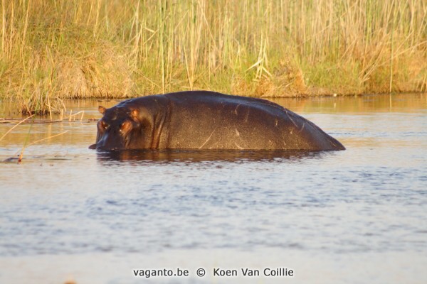 Kwando River