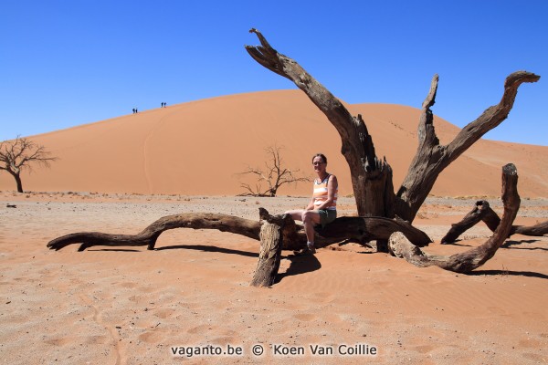 Namib desert