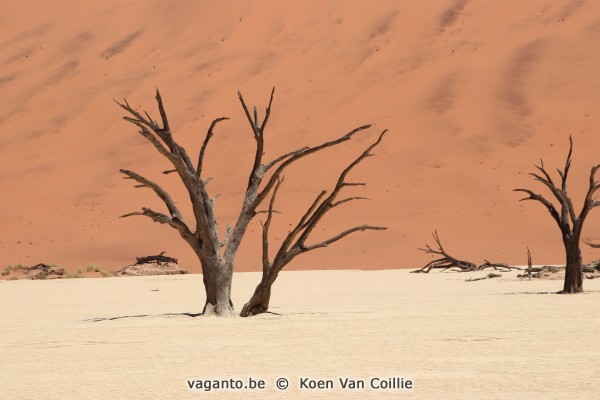 Deadvlei