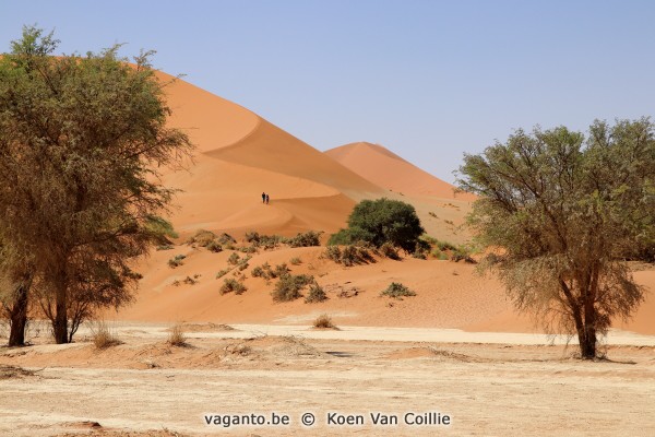 Sossusvlei