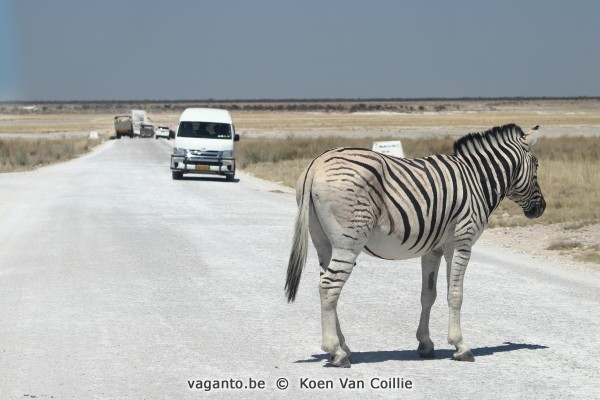 Etosha