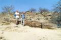 Petrified Forest