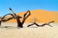 Namib Dune 45