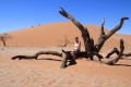 Namib desert