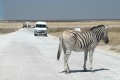 Etosha