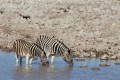 Etosha