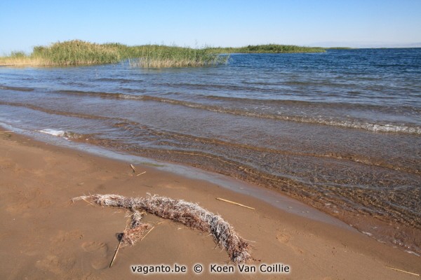 Aydarkul Lake