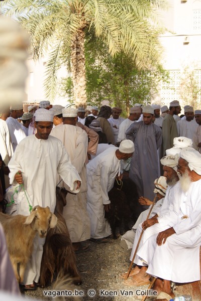 Nizwa goat market