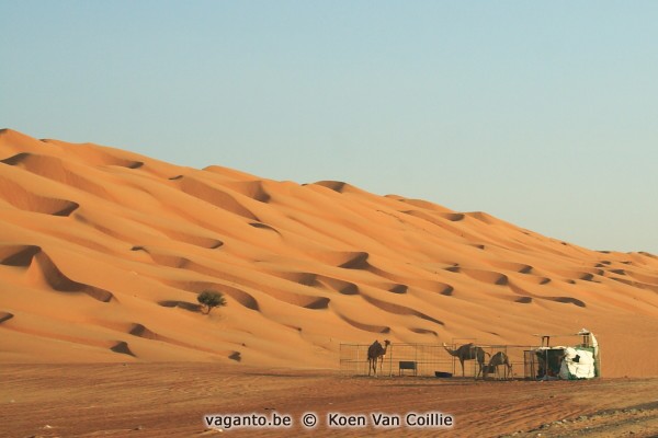 Wahiba Sands