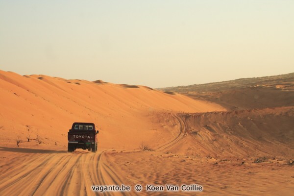 Wahiba Sands