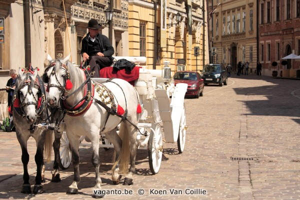 horse-drawn carriage