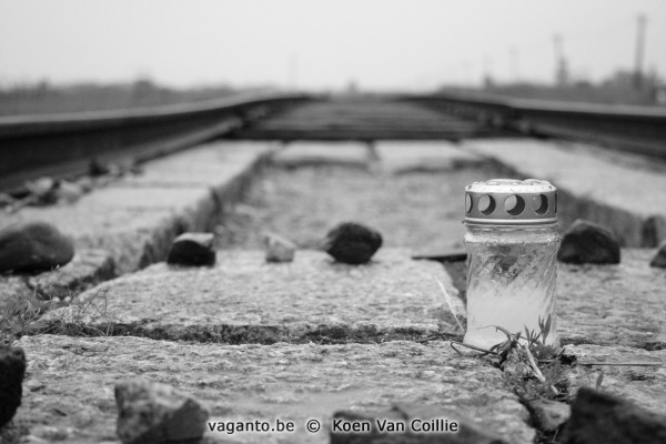 Birkenau