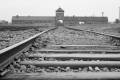 Birkenau