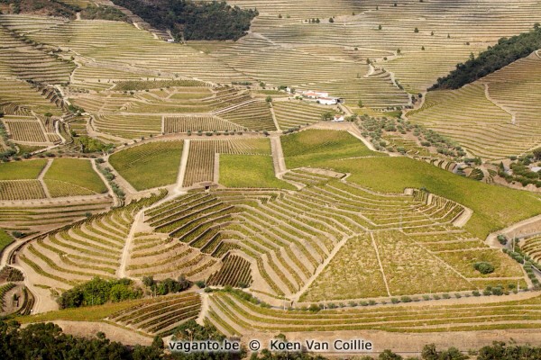 Douro valley