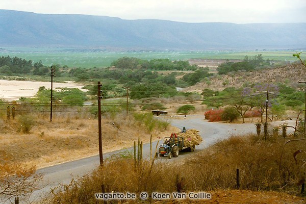 Big Bend