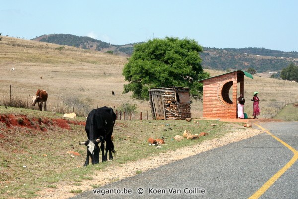 Grand Valley Road