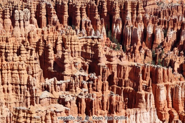 Bryce Canyon