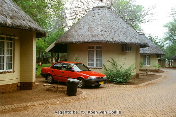 Kruger - Satara Camp