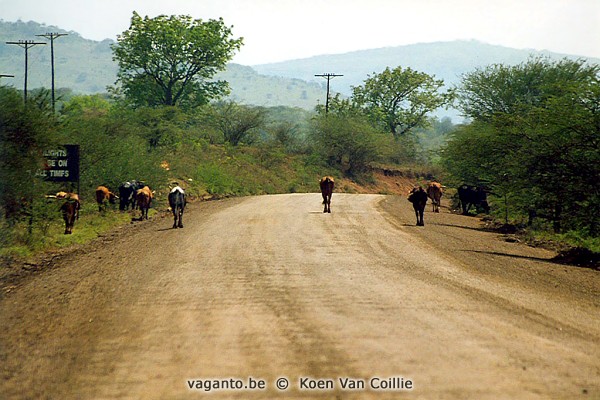 from Ulundi to Umfolozi