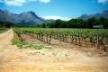 winelands